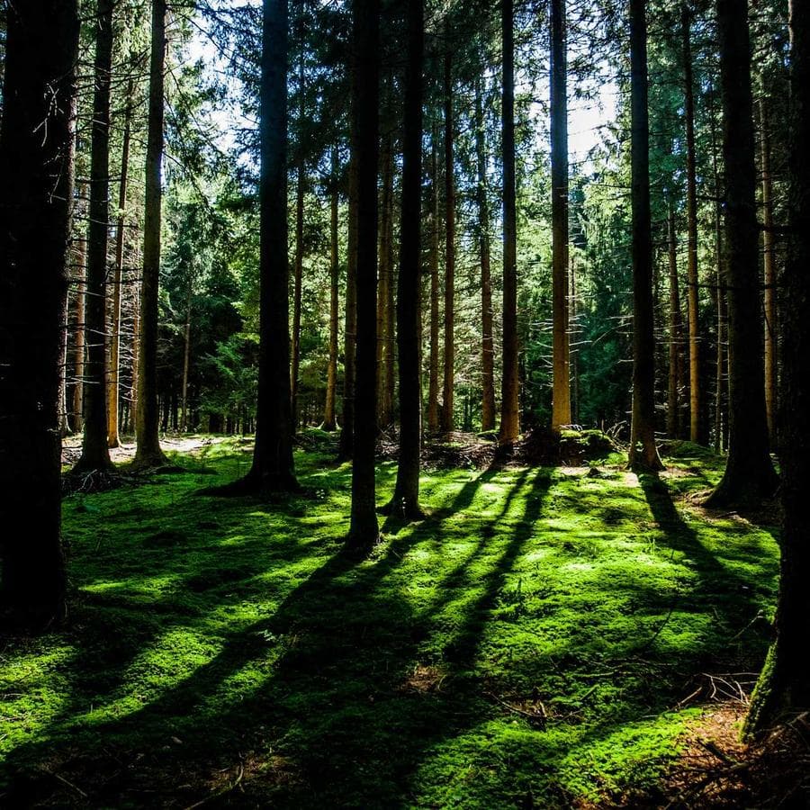 Guided sleep meditation